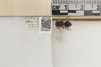 Media type: image;   Entomology 794871 Aspect: Labels